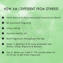 Expressions Car Freshener with Wooden Diffuser Lid 10ml