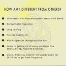 The Old Natural Sandal Twig Car Air Freshener