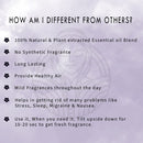 mystery car fresheners