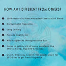 The Old Natural Car Air Freshener Combo Pack 3 (Mystic berry + Moods Combo) Pack of 2