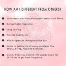 Car Perfume Combo (3-In-1) Sandal Twig + Mystic Berry + Moods