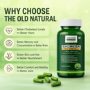 Salmega Veg Omega-3 | 450 mg EPA + 150 mg DHA from Marine Algae | 60 Capsules