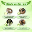 Pure & Natural Amla Powder for Hair, Skin, Digestion & Immunity Support - 200gm Pack of 2