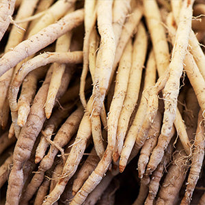 Asparagus Root Extract