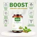 KSM-66 Ashwagandha 500 mg Veg Capsules | Extra Strength Natural Formulation | Support strength & energy | Withania Somnifera Extract - 60 Vegetarian Capsules
