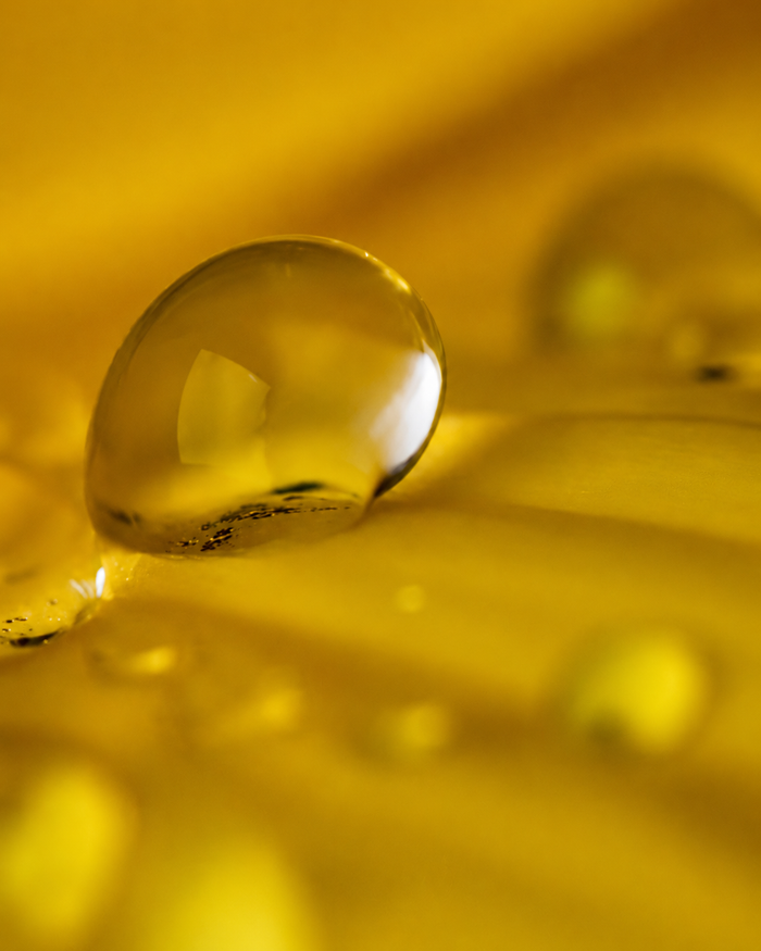 EPA (Eicosapentaenoic Acid)