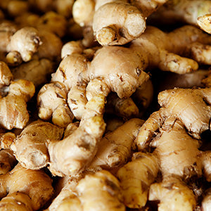 Ginger Extract
