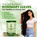 Rosemary Leaves for Hair Care, Scalp Health & DIY Hair Oil | 200g Pack of 2