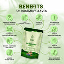 Rosemary Leaves for Hair Care, Scalp Health & DIY Hair Oil | 200g Pack of 2