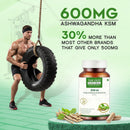 KSM-66 Ashwagandha 500 mg Veg Capsules | Extra Strength Natural Formulation | Support strength & energy | Withania Somnifera Extract - 60 Vegetarian Capsules
