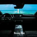 The Old Natural Spray Car Perfumes with Essential Oils Fragrance in Glass bottle with 2 Hanging Tags | Car Air Fresheners 50ml (Breezy Blue)