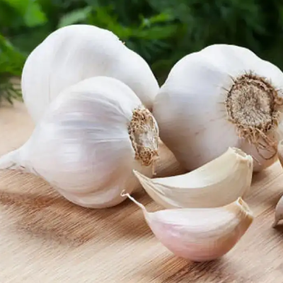 Garlic Extract