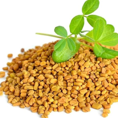 Fenugreek (Methi)