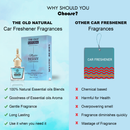 Mystic Berry Car Air Perfume (Box Packaging)