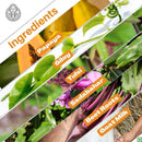 Papaya Leaf Extract Tablets, Improve Blood Platelets Count (Pack of 1)