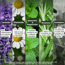 Migraway & Anti Stress Roll On (Combo Pack)